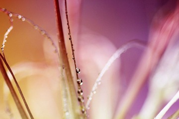 _MG_7604.jpg
