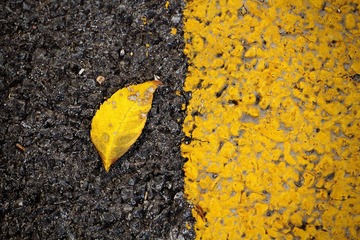 _MG_0129.jpg