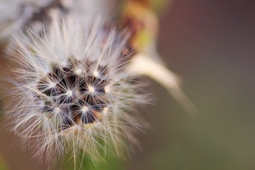 _MG_0108.jpg