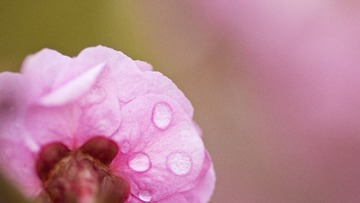 _MG_2347.JPG