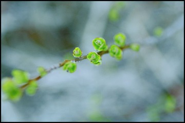 _MG_2391.JPG