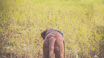 _MG_2532.jpg