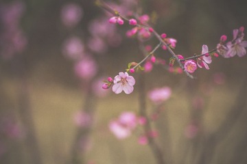 _MG_2535.jpg