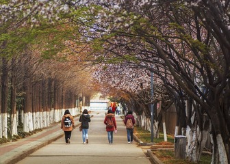 _MG_2712.jpg