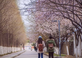 _MG_2679.jpg