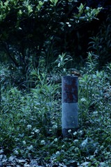 97496628-F51E-4044-80AF-990479075BD5/L0/001