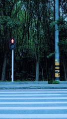 DAA90D0D-B007-41F6-81C2-59D7A7646B73/L0/001