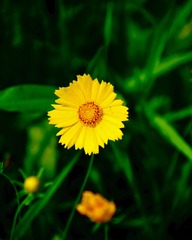3524CB6E-288D-4B24-A721-61D72497F782/L0/001
