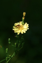 3F621234-D4EC-4BB5-BF27-79A571880FD9/L0/001