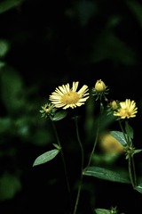 6638A7F5-56F7-47A9-A1D6-06412D5AF725/L0/001