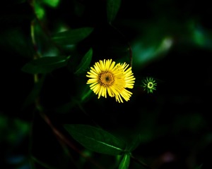 44D3A9C1-B5BC-4E88-B2BB-A68B646B061A/L0/001