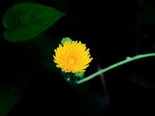 B04F5533-6A42-4D3F-9105-794488B5C1C2/L0/001