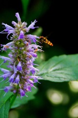 A72DBE89-268B-4F68-9653-9CC5D194AAEE/L0/001