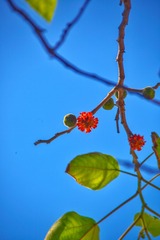 6E479023-C4F5-4EDF-8C22-BD585653A1C6/L0/001