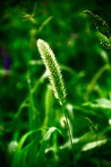 39B758F6-65EC-4D55-B13B-D086551266DA/L0/001