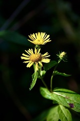 3D4B2629-5F16-4184-A7A8-D19A530FACDB/L0/001