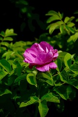 DABBD657-2FAD-4167-8D57-BB71D48F4984/L0/001