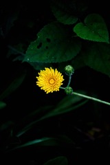 4D4BD81C-657B-43F2-B7A6-027C41B9AB7E/L0/001