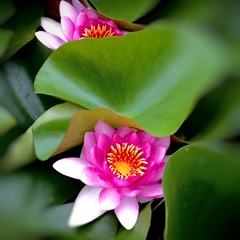 001