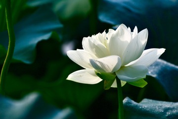 DA804D3E-A090-4687-A740-9CC6360519F2/L0/001