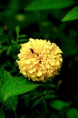 6290D698-08F9-4519-B804-6A238DBC84D8/L0/001
