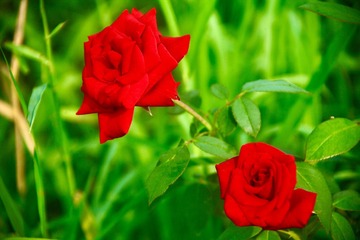 904B8C37-08F1-4FA0-9549-5367A810F04A/L0/001