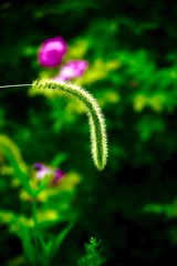 623CD70A-2167-4340-AE97-7F4C109F8C0C/L0/001