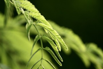 B735E409-F9BB-4ED0-8A94-62C3EFB30F47/L0/001