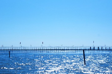 DSC01415.JPG