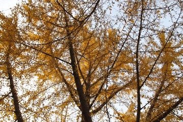 _MG_5588.JPG