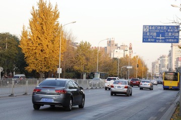 _MG_5596.JPG