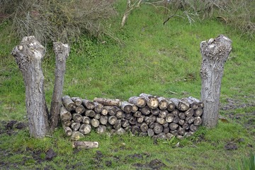 DSCF1274.JPG