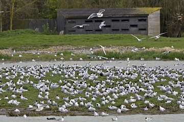 DSCF1407.JPG