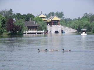 DSCF1435.JPG