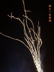 DSCF3238.JPG