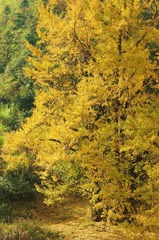 DSC_9790.JPG