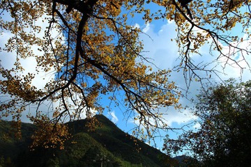 IMG_1101.JPG