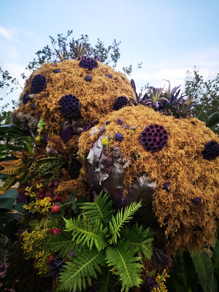 好喜欢这一波一波植物与艺术的完美结合.