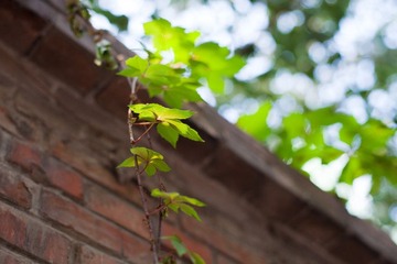 _MG_1638.jpg