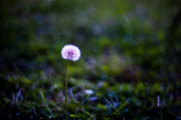 IMG_1666.jpg