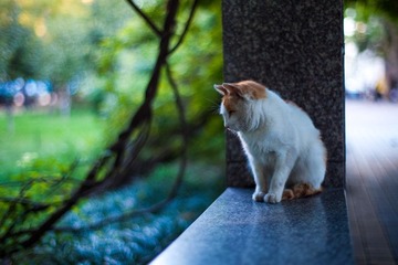 IMG_1680.jpg