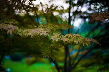 IMG_1780.jpg