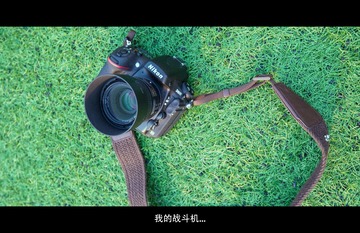 D02_4016.jpg