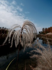 422129B6-49F2-48F0-BD84-E987E9B42812/L0/001