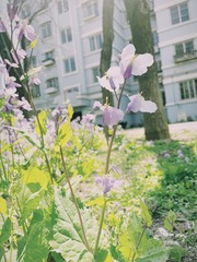 C6DF00E4-8417-4B7E-99FE-4CA5D494466D/L0/001