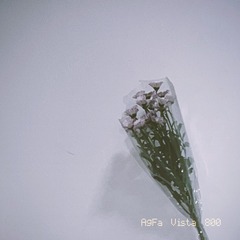 D8082ACE-8934-4BFD-AFC3-410CDB4A2757/L0/001