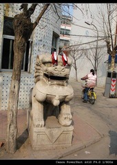 IMG_3236.jpg