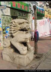IMG_3238.jpg