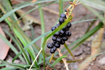 DSC_1024.JPG