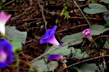 DSC_0898.JPG